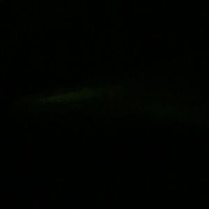 Meet your Posher, Tom